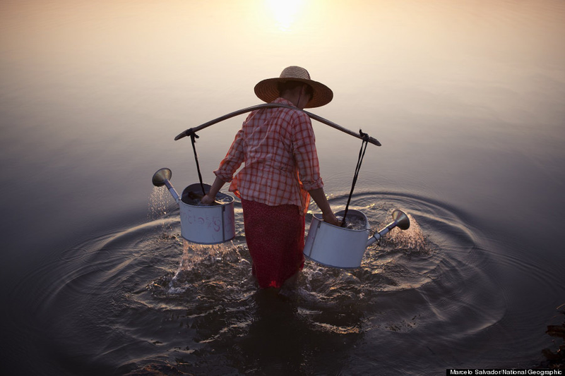 Illustration for article titled Las espectaculares fotos ganadoras del concurso NatGeo 2013